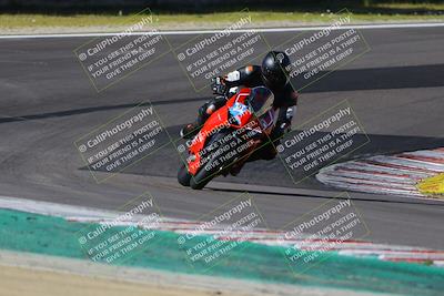 media/Mar-17-2024-Fastrack Riders (Sun) [[c7d6f8c14c]]/Level 2/Turn 6/